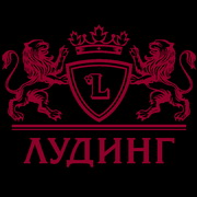 ГК "ЛУДИНГ"