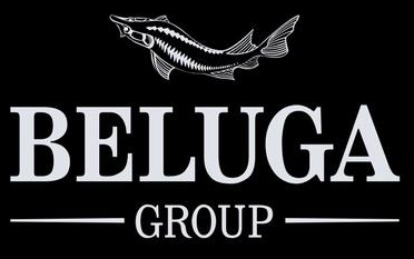 BelugaGroup BelugaGroup