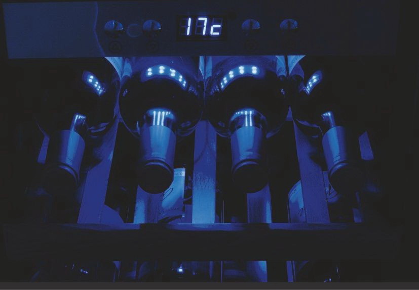 Винный шкаф Caso WineSafe 192