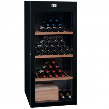 Винный шкаф Avintage DVP180G